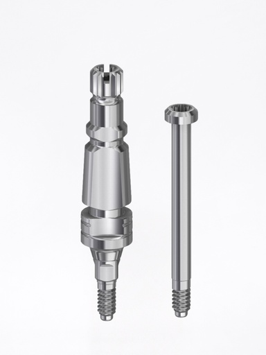 Transfer Conical BL